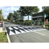 Figurine de signalisation de proximité d'école - Léa ou Léo