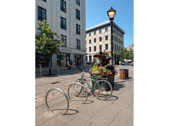 Support vélo inox sur platine