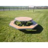 Table pique nique octogonale Horizon stratifié compact