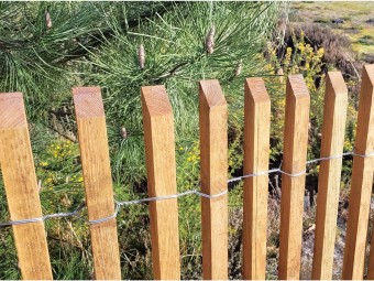 Ganivelle barriere girondine en pin