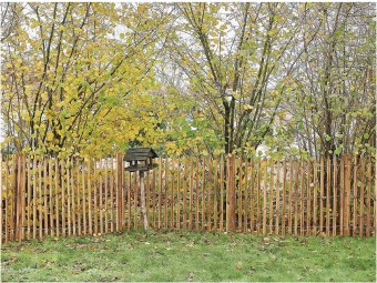 Ganivelle barriere girondine en pin