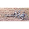Range 4 ou 5 vélos mural à 45° ou 90°