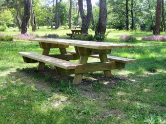 Table de pique-nique bois BRÉHAT PMR