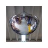 Miroir hémisphérique 360° - Saturn