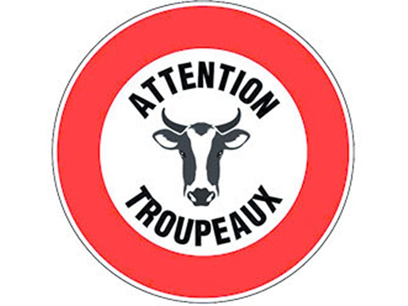 Panneau PVC : ATTENTION TROUPEAUX - vendu par lot de 5