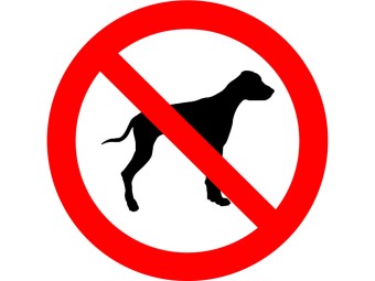 Sticker - CHIENS INTERDITS - vendu par lot de 10