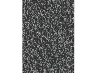 Tapis d'entrée – Matériel professionnel | Equipexpert