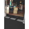 Tapis d’entrée modulaire multizone 12 mm 592 Master Flex D12