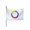Drapeau d'organisme international sur hampe