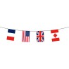 Guirlande drapeaux pays alliés à la France