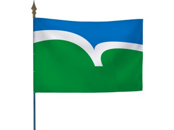 Drapeau des départements français sur hampe
