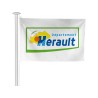 Pavillon des départements français pour mât