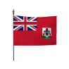 Drapeau des pays du monde sur hampe