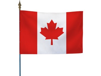 Drapeau des pays du monde sur hampe