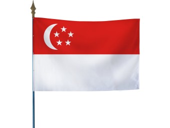 Drapeau des pays du monde sur hampe