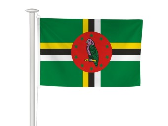 Pavillon des pays du monde pour mât
