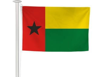 Pavillon des pays du monde pour mât