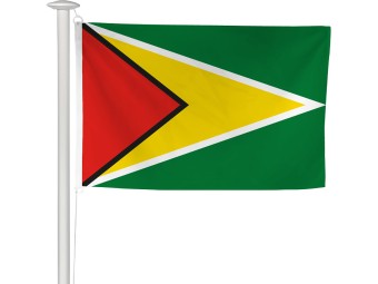 Pavillon des pays du monde pour mât