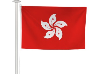 Pavillon des pays du monde pour mât