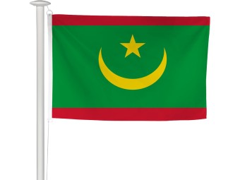 Pavillon des pays du monde pour mât