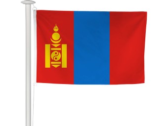 Pavillon des pays du monde pour mât