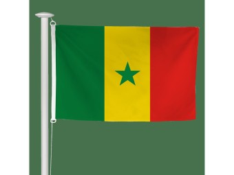 Pavillon des pays du monde pour mât