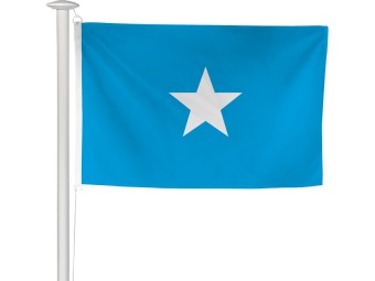 Pavillon des pays du monde pour mât