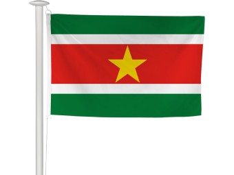 Pavillon des pays du monde pour mât