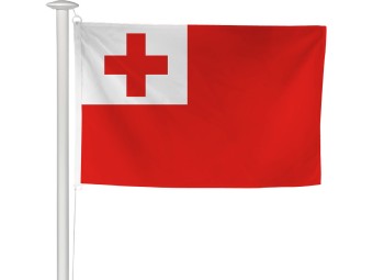 Pavillon des pays du monde pour mât