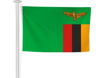 Pavillon des pays du monde pour mât