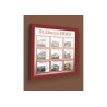 Vitrine pour affichage exterieur Classique simple battant